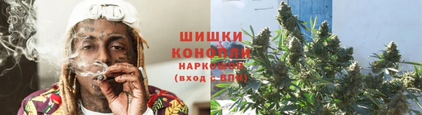 мяу мяу мука Кодинск