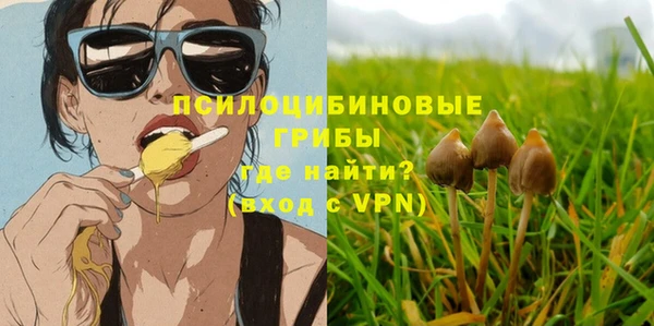 мяу мяу мука Кодинск