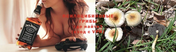 трава Козловка