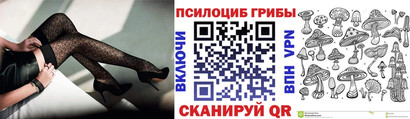 Галлюциногенные грибы Psilocybine cubensis  блэк спрут зеркало  Кириллов 